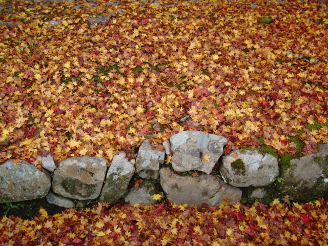 b0152548_12481734.jpg