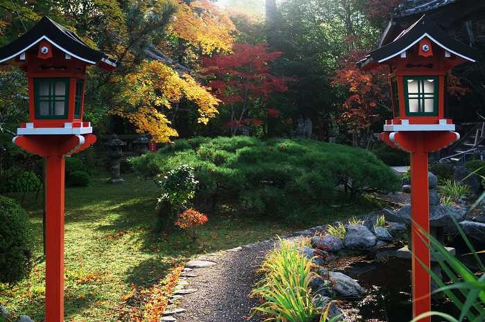 静寂の庭（西山・十輪寺）_f0155048_18204138.jpg