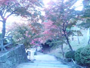 f0229250_2185487.jpg