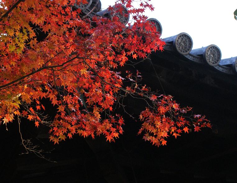禅昌寺の紅葉_b0063958_23493397.jpg