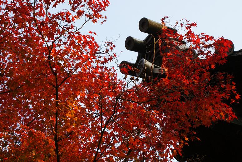 禅昌寺の紅葉_b0063958_23495862.jpg