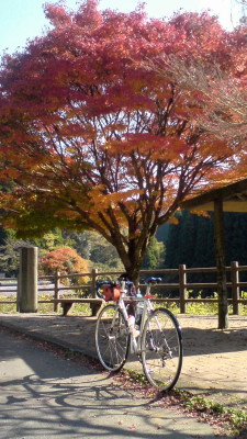 菊池渓谷紅葉狩りツアー_c0060862_14465888.jpg