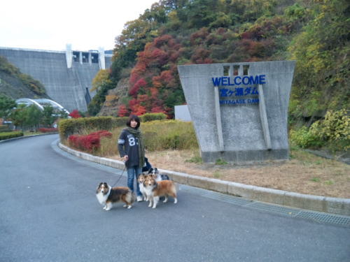 紅葉リベンジ_f0126965_17521974.jpg