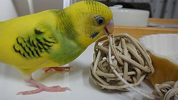 f0196665_12177.jpg