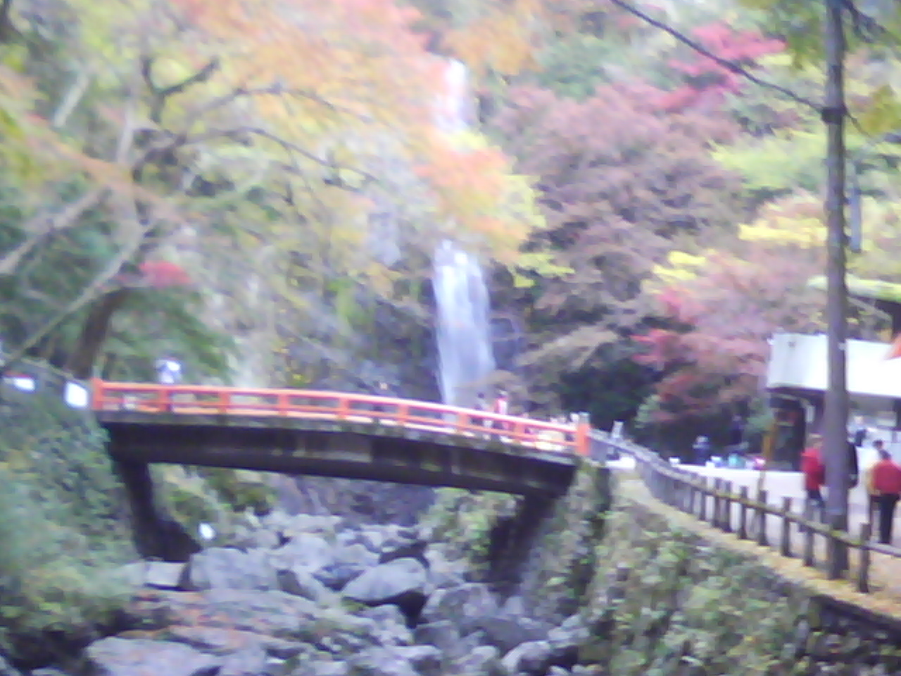 箕面山の紅葉_f0150767_10244538.jpg