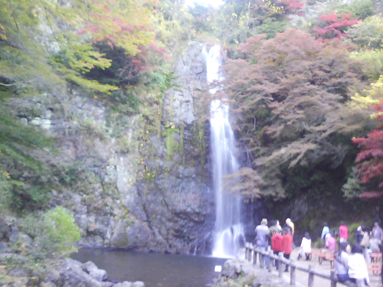 箕面山の紅葉_f0150767_1025162.jpg