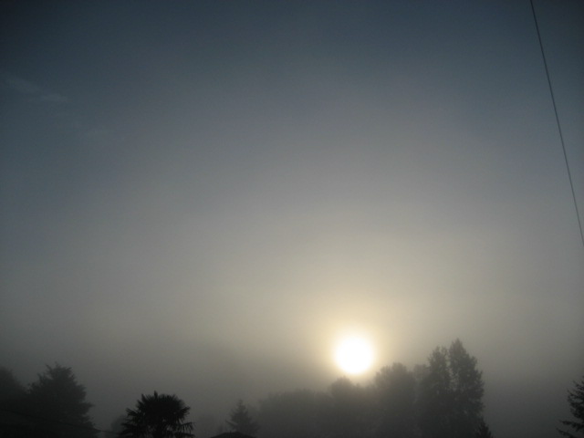 b0130970_1294880.jpg