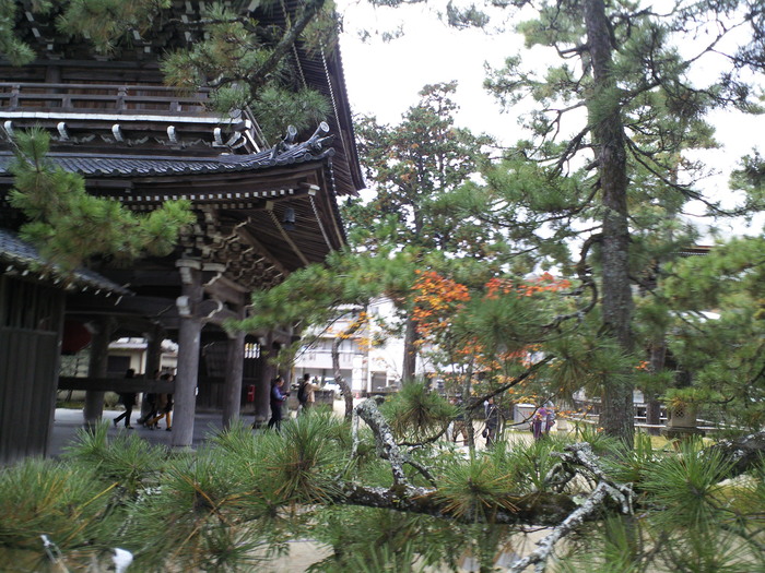 三景に建つ珠玉の寺_c0001670_2303757.jpg