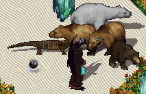 b0190672_2132236.gif