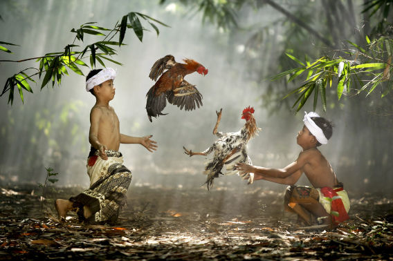 2010 National Geographic Photography Contest_f0228575_17181075.jpg