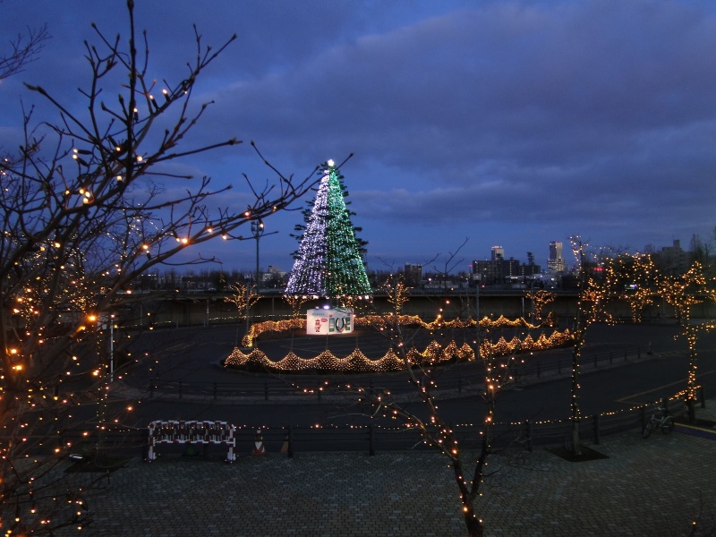 JRA桑園競馬場のイルミネーション　1124_c0183777_18372250.jpg