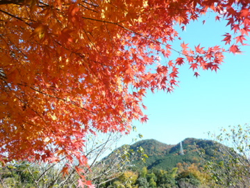 b0141878_17452659.jpg