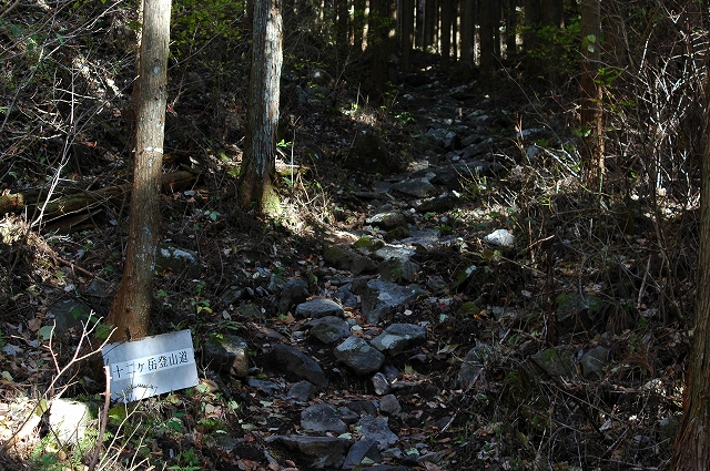 c0212083_1645461.jpg