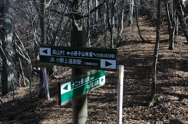 c0212083_1646340.jpg