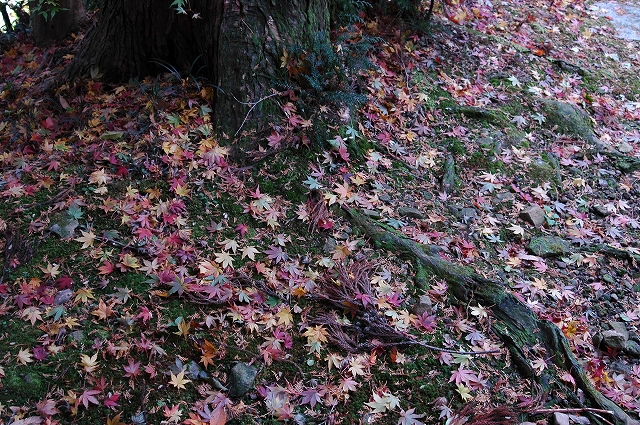 c0212083_16565749.jpg