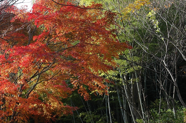 c0212083_16591891.jpg