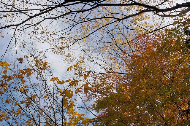 c0212083_1772714.jpg