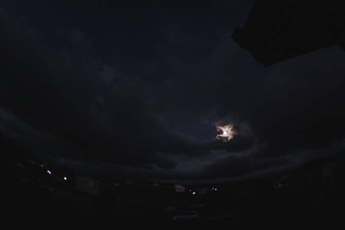 c0177785_63682.jpg