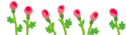 d0171087_1553655.gif