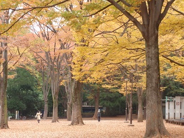 八卦遊身掌 王樹金 王福来 老師 陰陽鉞 Master Wang Fu Lai Pakua