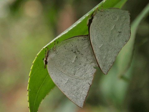 b0053192_1233123.gif