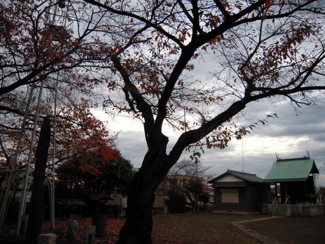 【毎日神頼み】ここにもあった「天神社」_b0013293_1161330.jpg