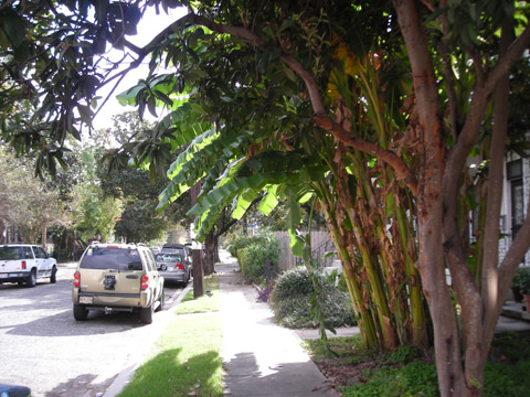 d0000995_1233486.jpg