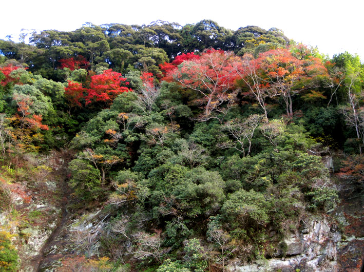 榊原温泉の紅葉#8_b0145296_7114437.jpg