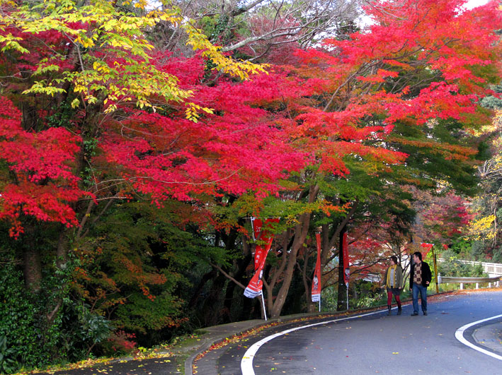 榊原温泉の紅葉#8_b0145296_712153.jpg