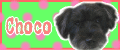 e0215696_13182310.gif