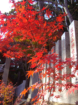 b0147203_17381238.jpg