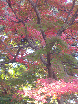 b0147203_17484191.jpg