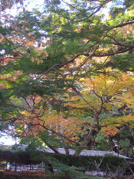 b0147203_17491247.jpg