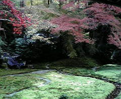 京都の紅葉　八瀬　瑠璃光院～②_e0113504_2335482.jpg