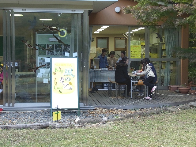 すみれば探検隊「木と遊ぼう」_b0049307_9231592.jpg