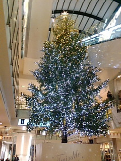 b0197308_17401556.jpg