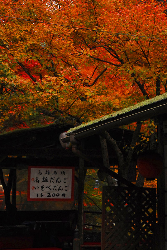 京都 高雄の紅葉 その４_f0041908_0531311.jpg