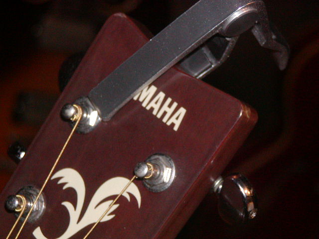 a0116010_14555455.jpg