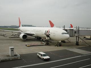 c0118011_174246.jpg
