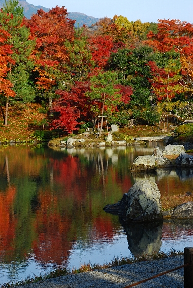 紅葉　－　天龍寺_a0114714_17283463.jpg