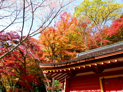 紅葉の談山神社_f0033614_17593040.jpg