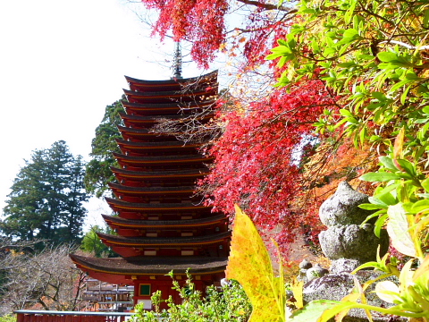 紅葉の談山神社_f0033614_17594134.jpg