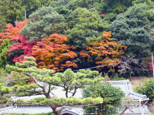 愛知県の山　もみじが美しい鳳来寺山に登りました　ＮＯ２_d0170615_12552652.jpg