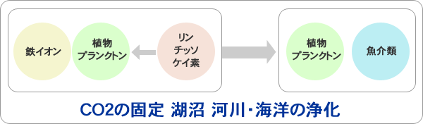 鉄と竹炭を配合し生態系の活性化を目的とした商品「チャコールアイロン」 滋賀県立大学で実証実験中です！_d0204017_17292398.gif