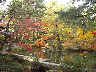 清水園 紅葉情報_e0135219_14411029.jpg