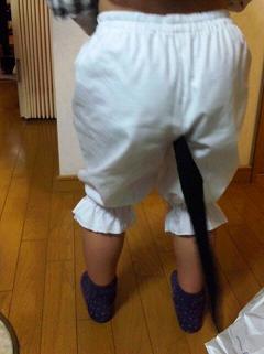 途中経過_c0211221_165727.jpg