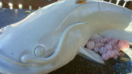 不思議なお話しですみません 白いナマズのたまご 佐賀 嬉野温泉きららカフェ