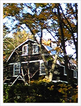 e0175228_1027734.jpg