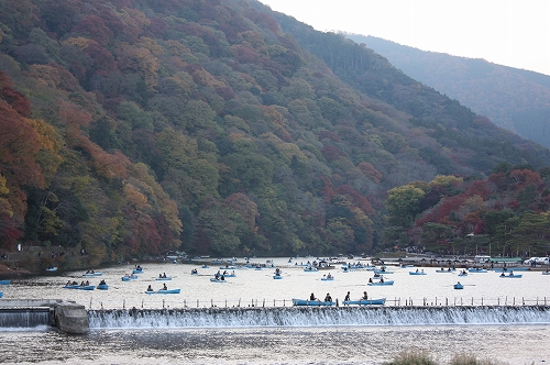 清水寺から鹿王院へ♪　その２_f0054428_0132232.jpg