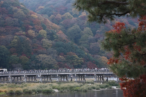 清水寺から鹿王院へ♪　その２_f0054428_06275.jpg